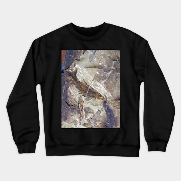 Fish Fossil - Photography by Avril Thomas - Adelaide / South Australia Artist Crewneck Sweatshirt by AvrilThomasart